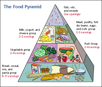 Food Pyramid – Imagine Ministries